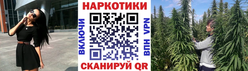 Купить наркотики цена Богородицк Бошки Шишки  АМФ  Alpha PVP  ГАШИШ  МЕФ 
