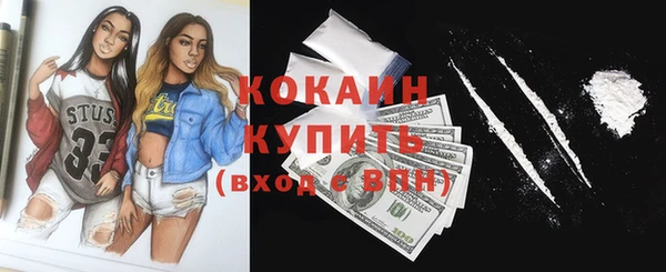 прущие грибы Пестово