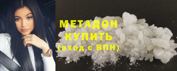 прущие грибы Пестово
