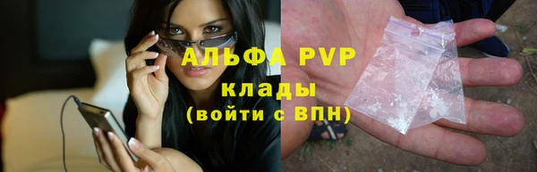прущие грибы Пестово