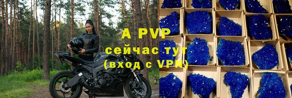 прущие грибы Валуйки