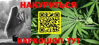 сатива Аргун