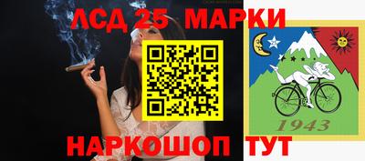 сатива Аргун