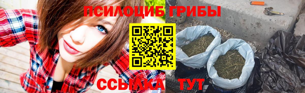 Псилоцибиновые грибы прущие грибы Богородицк