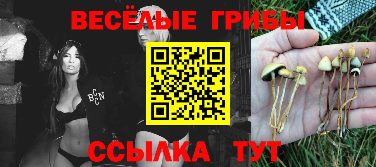 Псилоцибиновые грибы мухоморы  Галлюциногенные грибы Psilocybine cubensis  Богородицк 